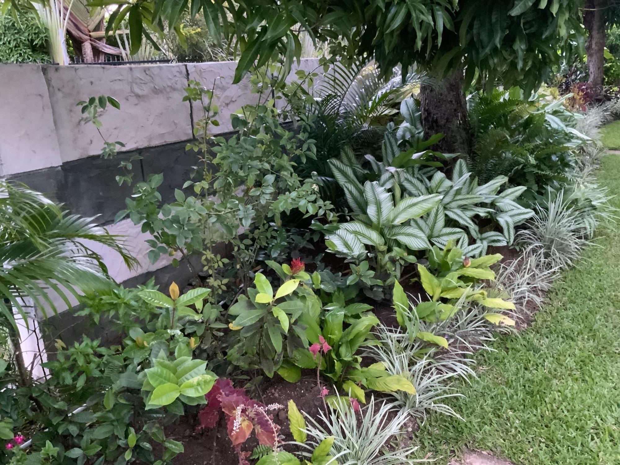 Marvey'S Place Castries Exterior foto